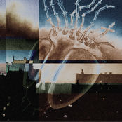 под слоем хитина