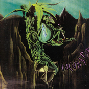 McGillroy The Housefly