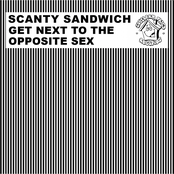 Crazy Life by Scanty Sandwich