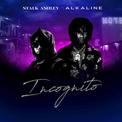 Incognito (feat. Alkaline)