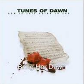 My Fault by Tunes Of Dawn