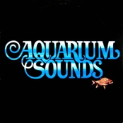 Aquarium Sounds