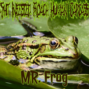 Mr. Frog