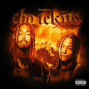 Cho Tekito (feat. SHO) [Remix]