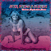 Love, Peace & Poetry - Chilean Psychedelic Music