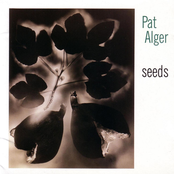 Never Needs A Reason To Rain by Pat Alger