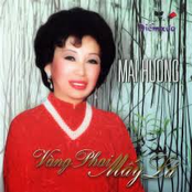 Vàng Phai Mấy Lá
