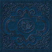 Cold Roses