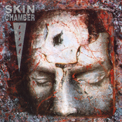 Slow Crime by Skin Chamber