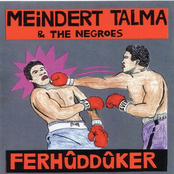 Glas by Meindert Talma & The Negroes
