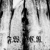 Floridian Winter / Cross Rot