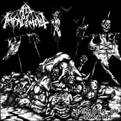 Heathen Omens by Act Of Impalement