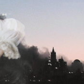 The Disintegration Loops I