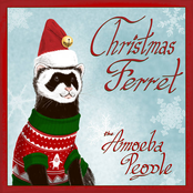Christmas Ferret
