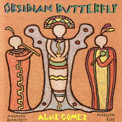 Obsidian Butterfly by Alice Gomez
