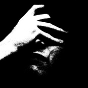 Life: The Sexually Transmitted Disease