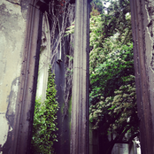 Suite dreams of Yule