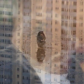 唱着那无人问津的歌谣