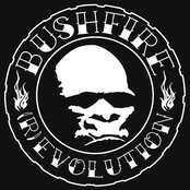 (R)Evolution