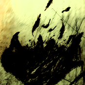 Falling of all dreams...