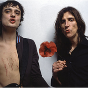 wolfman featuring pete doherty