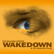 Wakedown