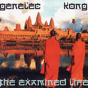 The Examind Life EP