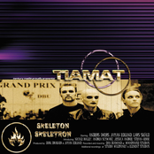 Sympathy For The Devil by Tiamat