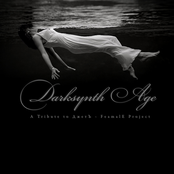 Darksynth Age (A Tribute To ДжетЪ - FeamalE Project) [VA] (2010)