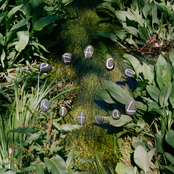 Tears of Joy - Single