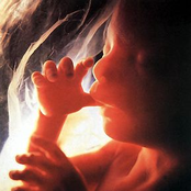 For Whomever Doesn't Care