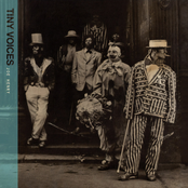 Joe Henry: Tiny Voices
