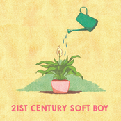 21st Century Soft Boy