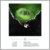 Sentinel