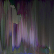 Clocks in the Forest