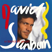 David Sanborn: A Change of Heart