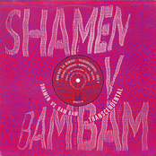 Transcendental by The Shamen