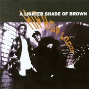 Brownies by Lighter Shade Of Brown