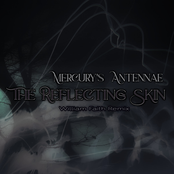 The Reflecting Skin (William Faith Remix)