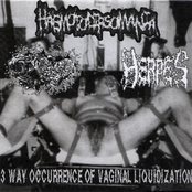 3 Way Occurrence of Vaginal Liquidization