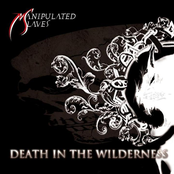 DEATH IN THE WILDERNESS