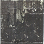 Shadow Watcher Leviathans