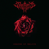 Shadow of Malice