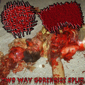 Two Way Gorenoise Split