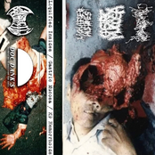 Liquified Insides / Gastric Mucosa / K9 Hemorrhoids