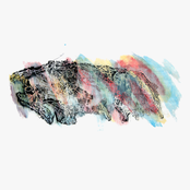 Kuu Paistaa Risukasaan