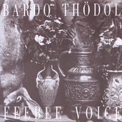 Feeble Voice by Bardo Thödol