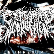 Vile Infestation Demo