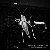 Clandestine Operator Abroad