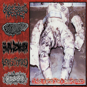 5 Ways Of Rotted Slow By Chronic Diseases